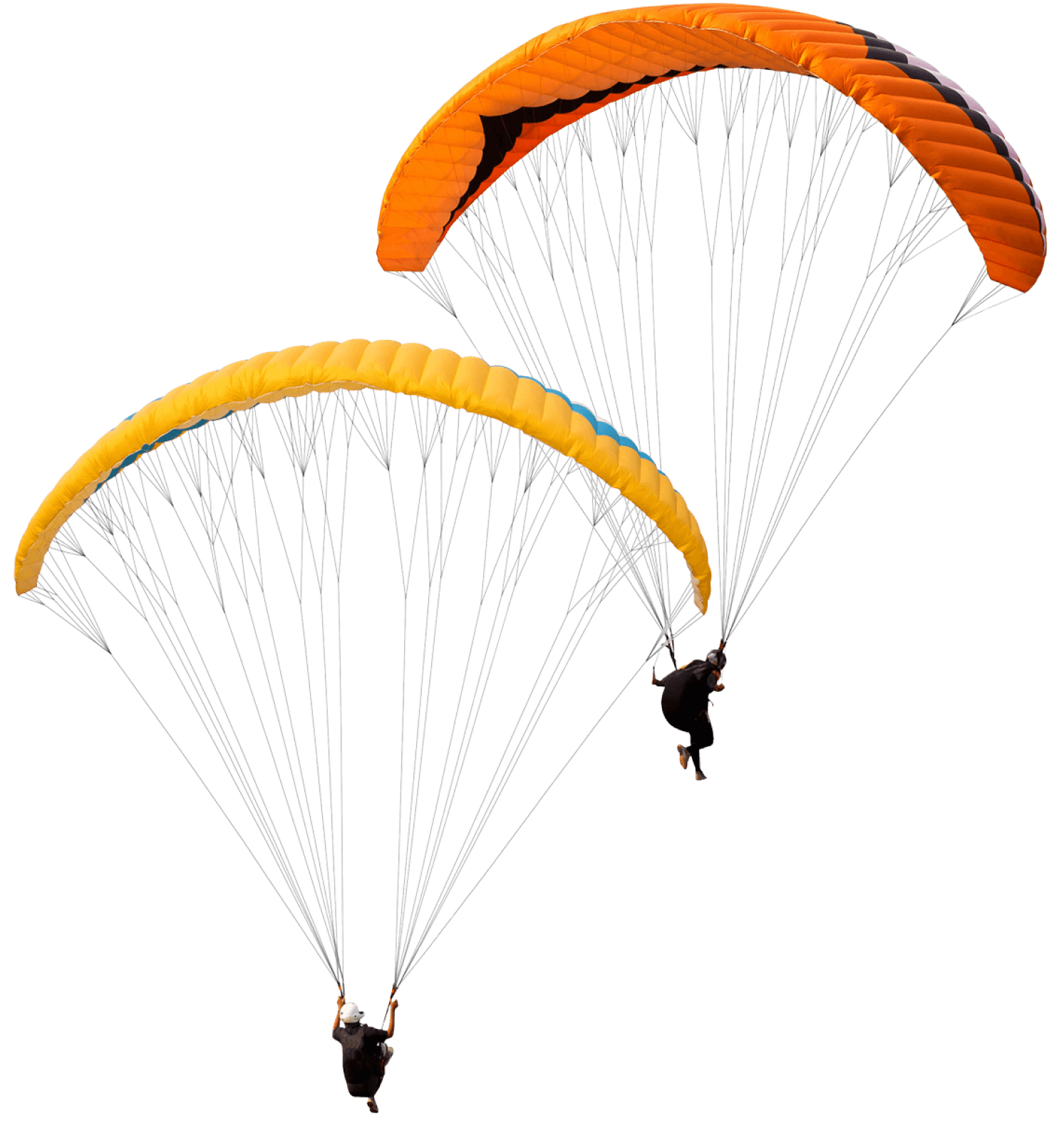 paraglider